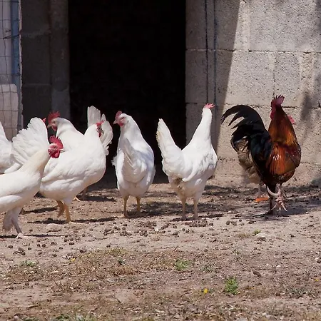 Antares مزرعة للإقامة
